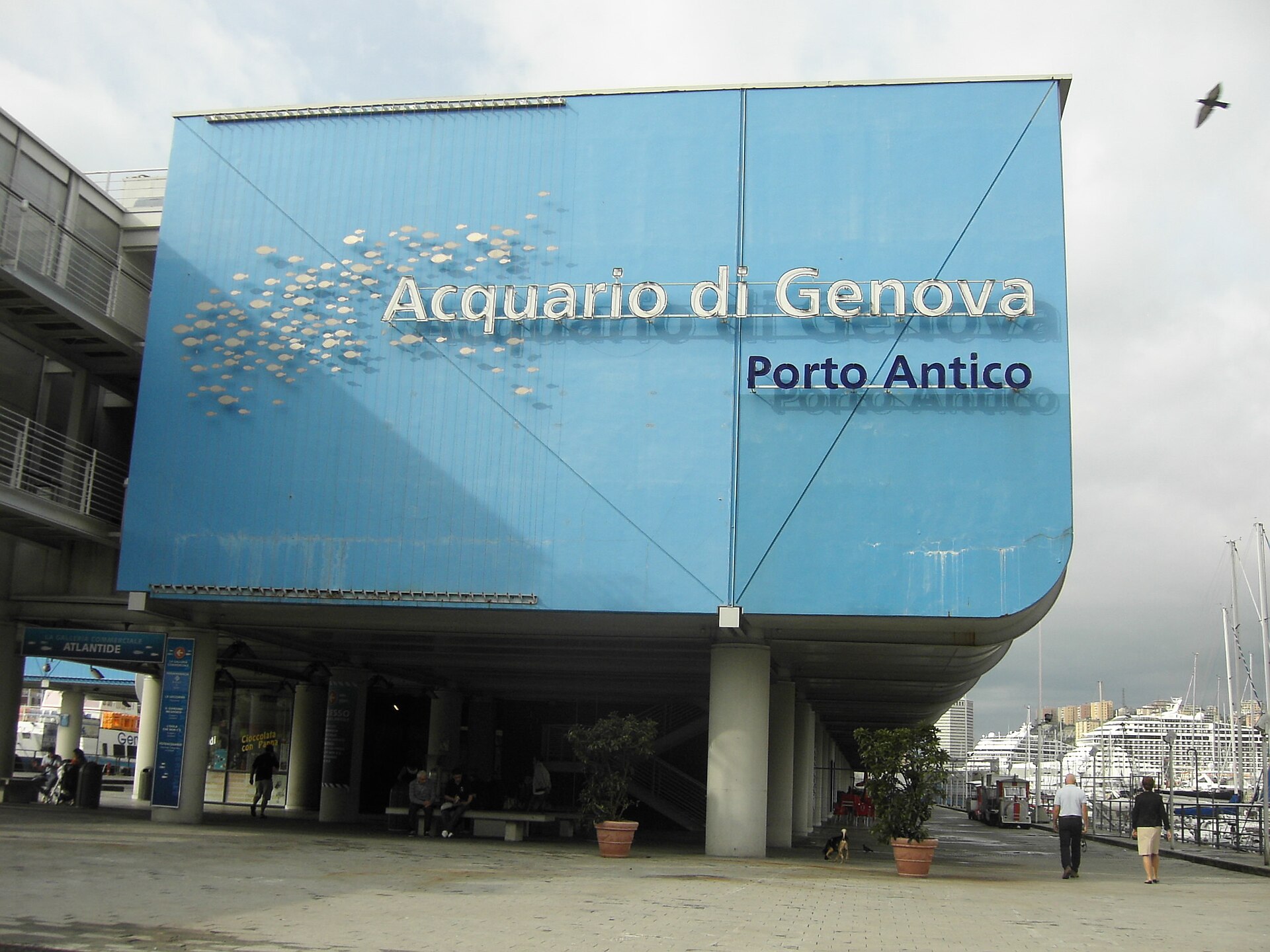 Genoa Aquarium: the price depends on where you buy